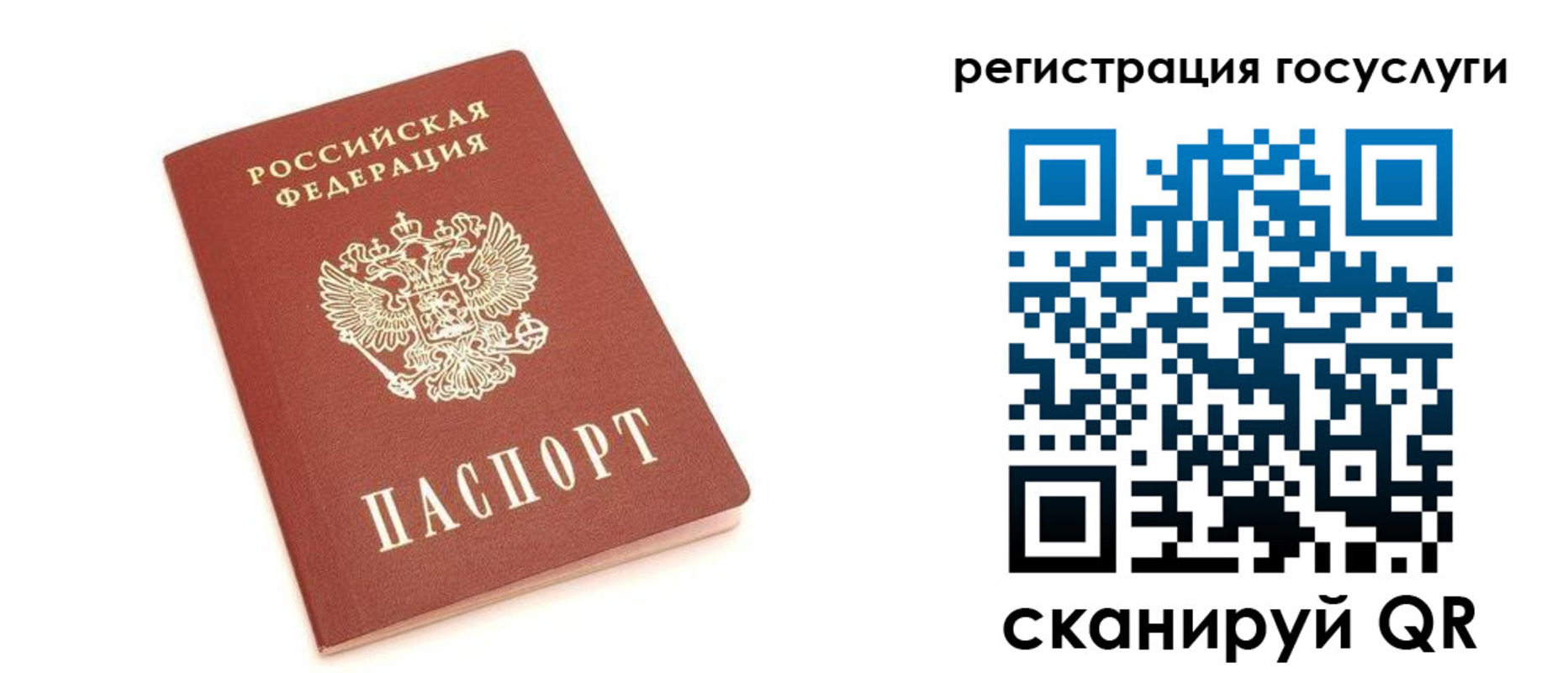 прописка 2025 в Бабаево
